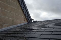 TOITURE EN ARDOISES NATURELLES A EBOULEAU ET TRAVAUX DE ZINGUERIE